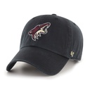 47 Brand Arizona Coyotes Clean Up Black OSFM