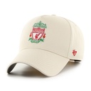 47 Brand Liverpool FC Back Arch MVP DT Sandstorm OSFM