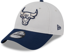 New Era Chicago Bulls 9Forty Two Tone Repreve Stone OSFM
