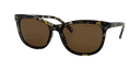 Stiletto Ariel C6 Crystal Rose w Demi Black / Brown Polarised Lenses