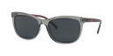 Stiletto Ariel C7 Crystal Smoke w Brown Gold Stripe / Smoke Polarised Lenses