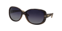 Stiletto Ava C4 Crystal w Gold Stripe / Smoke Gradient Polarised Lenses