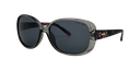 Stiletto Ava C7 Crystal Smoke w Brown Gold Stripe / Smoke Polarised Lenses
