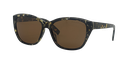Stiletto Coral C6 Crystal Rose w Demi Black / Brown Polarised Lenses