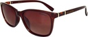 Stiletto Emma C2 Crystal Dark Brown / Brown Gradient Polarised Lenses