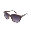 Stiletto Jasmine C3 Light Brown / Smoke Gradient Polarised Lenses