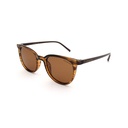 Stiletto Jordan C5 Crystal Brown & Solid Brown / Brown Polarised Lenses