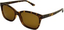 Stiletto Leah C5 Double Dark Demi / Brown Polarised Lenses
