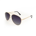 Stiletto Nora C1 Light Gold / Smoke Polarised Lenses