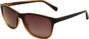Stiletto Stella C5 Crystal Brown / Smoke Gradient Polarised Lenses