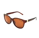 Stiletto Summer C2 Crystal Dark Brown / Brown Polarised Lenses
