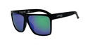 Urban Zoo Showtime C21 Matte Black / Green Revo Lenses
